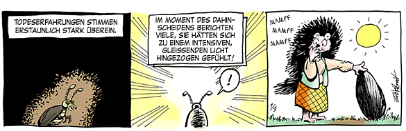 Cartoon, zwischen 40 und 90k