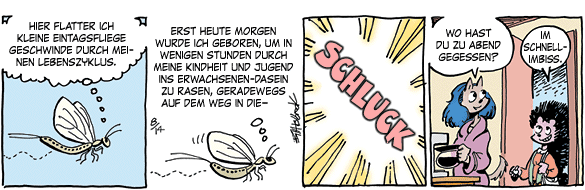 Cartoon, zwischen 40 und 90k