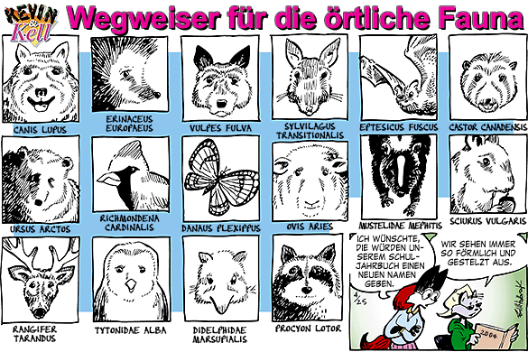 Cartoon, zwischen 40 und 90k