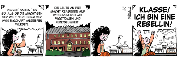 Cartoon, zwischen 40 und 90k