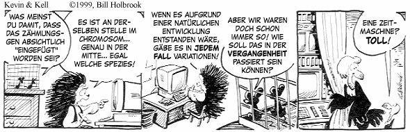 Cartoon, zwischen 40 und 90k